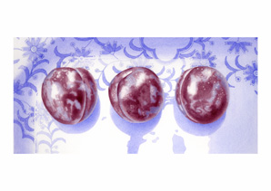 Plums Print